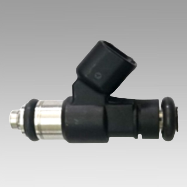 CEV19-021